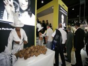 Dance Show Infos & Variations